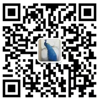 weixin.png